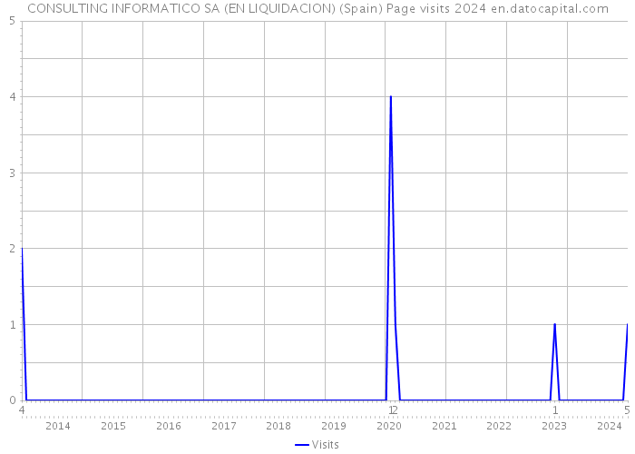 CONSULTING INFORMATICO SA (EN LIQUIDACION) (Spain) Page visits 2024 