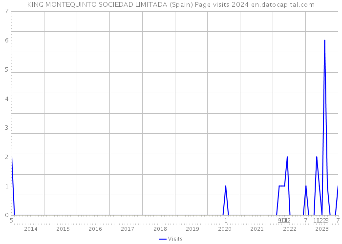 KING MONTEQUINTO SOCIEDAD LIMITADA (Spain) Page visits 2024 