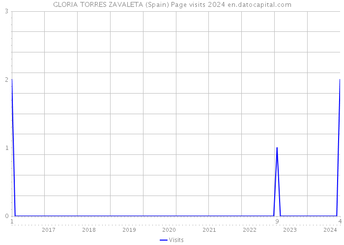GLORIA TORRES ZAVALETA (Spain) Page visits 2024 