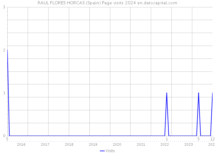 RAUL FLORES HORCAS (Spain) Page visits 2024 