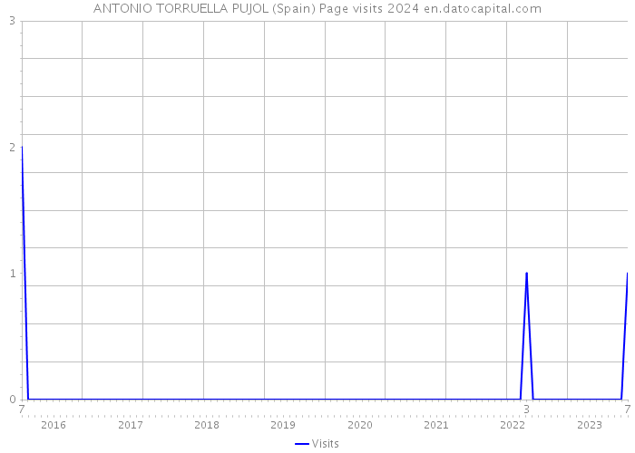 ANTONIO TORRUELLA PUJOL (Spain) Page visits 2024 