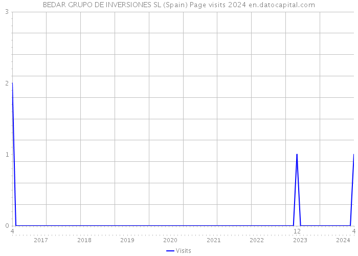 BEDAR GRUPO DE INVERSIONES SL (Spain) Page visits 2024 