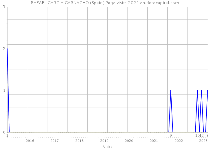 RAFAEL GARCIA GARNACHO (Spain) Page visits 2024 