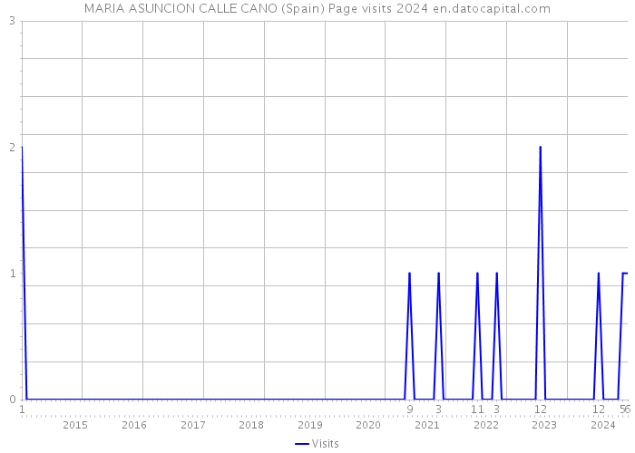 MARIA ASUNCION CALLE CANO (Spain) Page visits 2024 