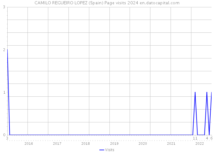 CAMILO REGUEIRO LOPEZ (Spain) Page visits 2024 