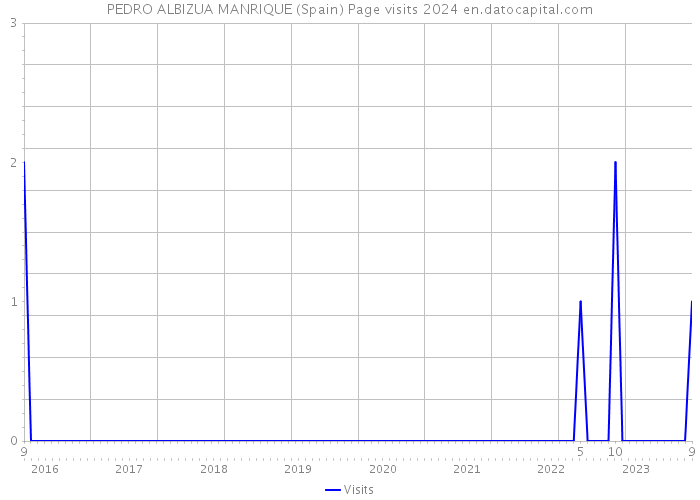 PEDRO ALBIZUA MANRIQUE (Spain) Page visits 2024 