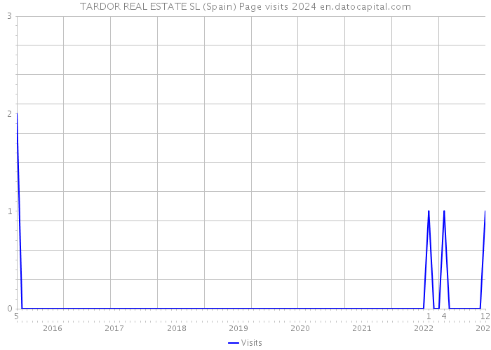 TARDOR REAL ESTATE SL (Spain) Page visits 2024 