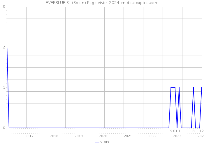 EVERBLUE SL (Spain) Page visits 2024 