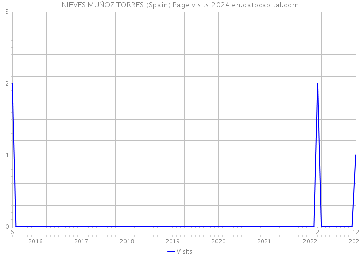 NIEVES MUÑOZ TORRES (Spain) Page visits 2024 