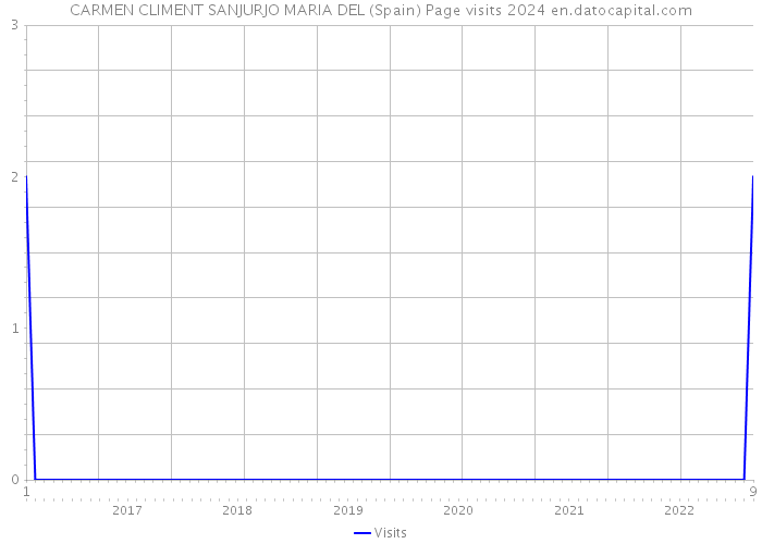CARMEN CLIMENT SANJURJO MARIA DEL (Spain) Page visits 2024 