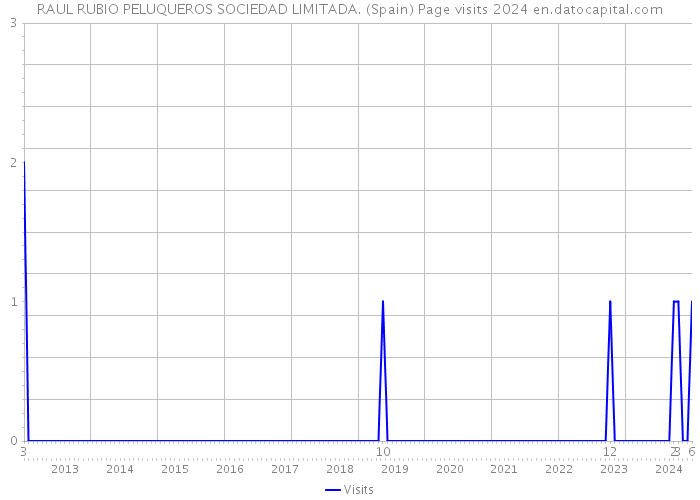 RAUL RUBIO PELUQUEROS SOCIEDAD LIMITADA. (Spain) Page visits 2024 