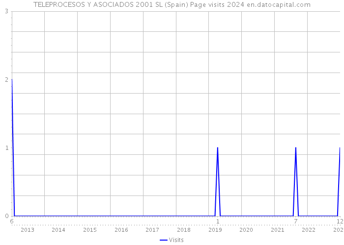 TELEPROCESOS Y ASOCIADOS 2001 SL (Spain) Page visits 2024 