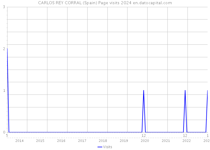 CARLOS REY CORRAL (Spain) Page visits 2024 
