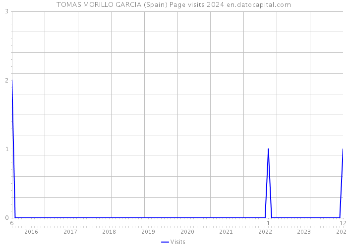 TOMAS MORILLO GARCIA (Spain) Page visits 2024 