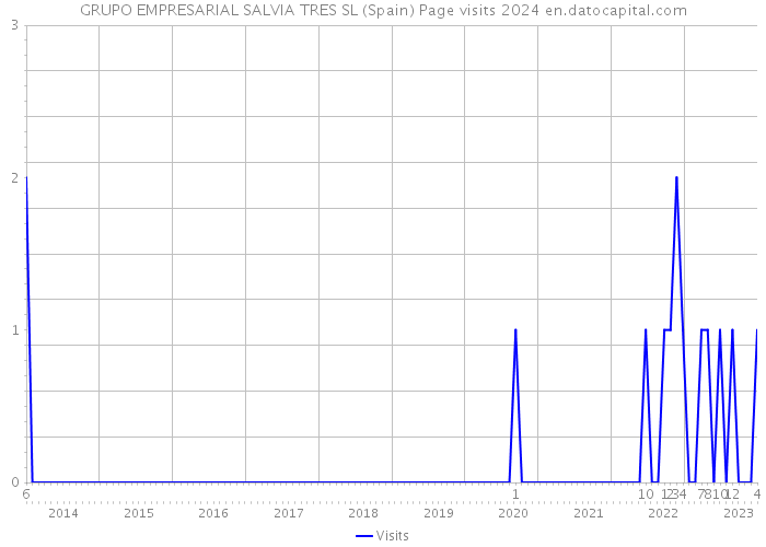 GRUPO EMPRESARIAL SALVIA TRES SL (Spain) Page visits 2024 