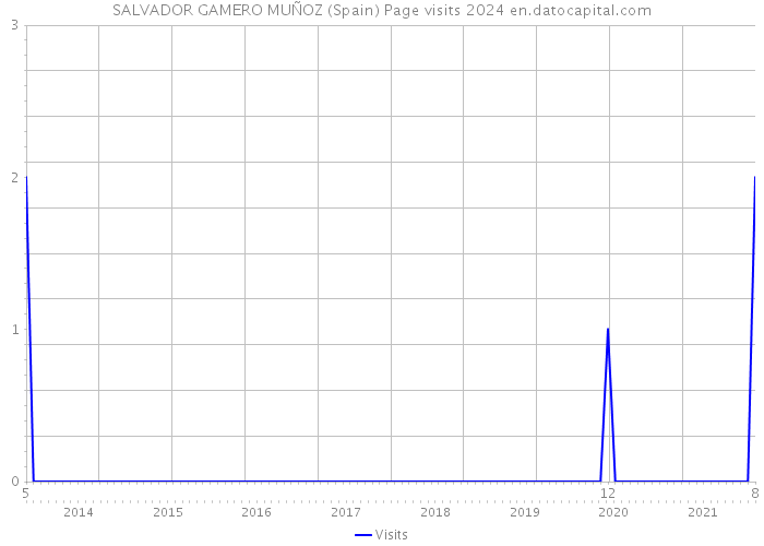 SALVADOR GAMERO MUÑOZ (Spain) Page visits 2024 