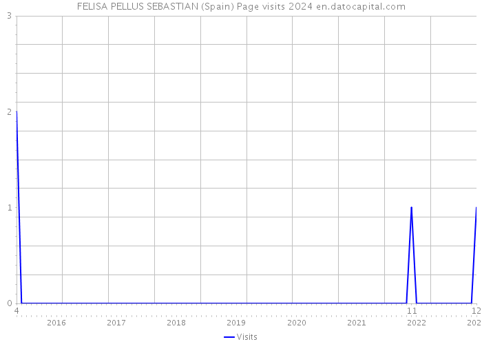 FELISA PELLUS SEBASTIAN (Spain) Page visits 2024 