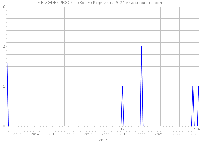 MERCEDES PICO S.L. (Spain) Page visits 2024 