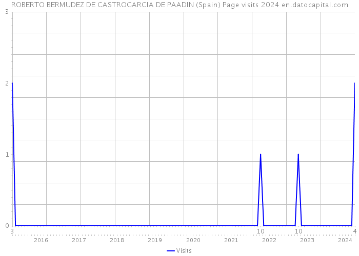 ROBERTO BERMUDEZ DE CASTROGARCIA DE PAADIN (Spain) Page visits 2024 