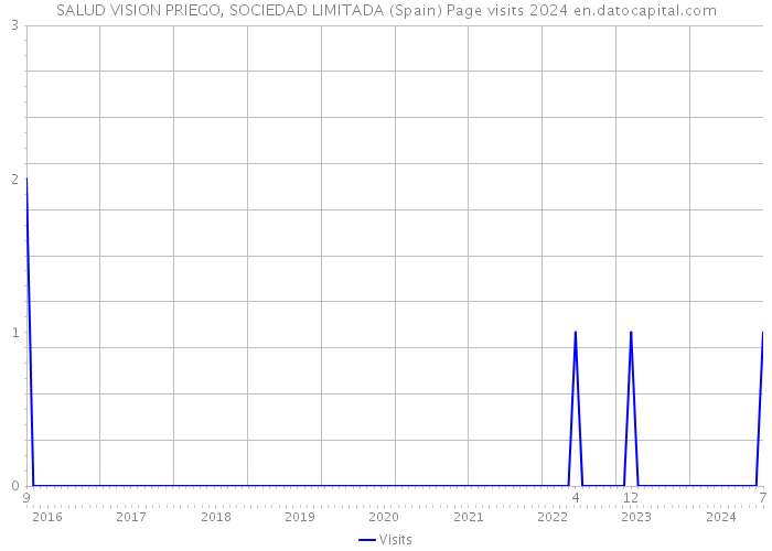 SALUD VISION PRIEGO, SOCIEDAD LIMITADA (Spain) Page visits 2024 