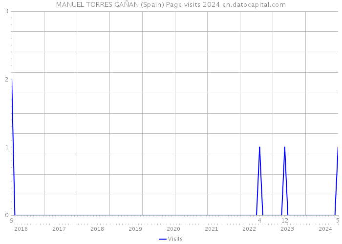 MANUEL TORRES GAÑAN (Spain) Page visits 2024 