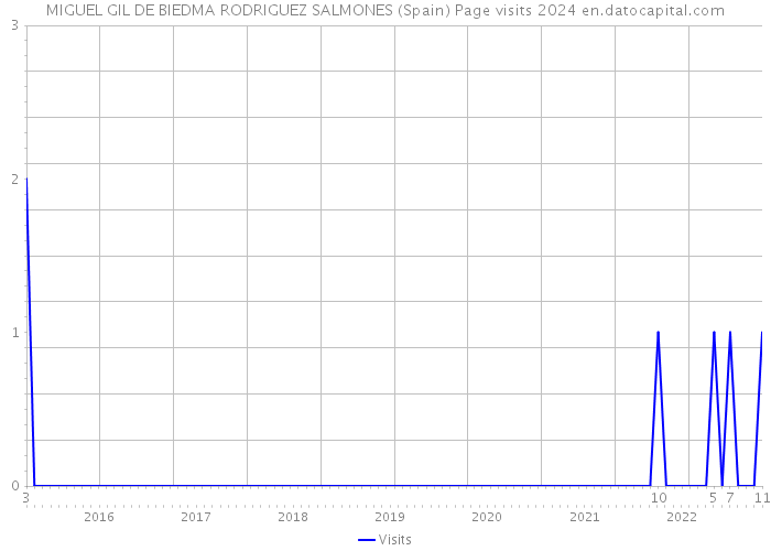 MIGUEL GIL DE BIEDMA RODRIGUEZ SALMONES (Spain) Page visits 2024 
