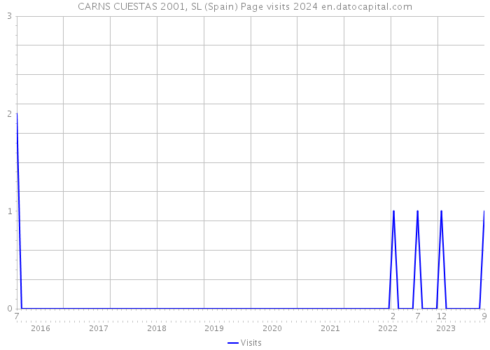 CARNS CUESTAS 2001, SL (Spain) Page visits 2024 