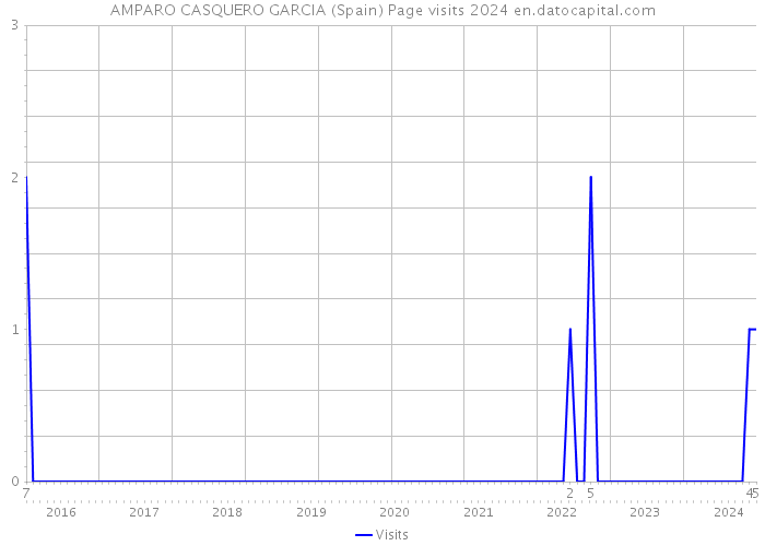 AMPARO CASQUERO GARCIA (Spain) Page visits 2024 