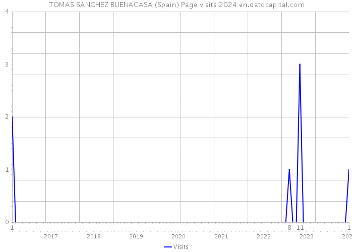 TOMAS SANCHEZ BUENACASA (Spain) Page visits 2024 