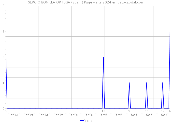 SERGIO BONILLA ORTEGA (Spain) Page visits 2024 
