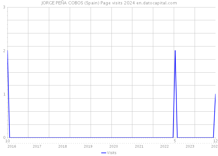 JORGE PEÑA COBOS (Spain) Page visits 2024 