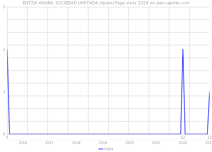 ENTZIA ARABA, SOCIEDAD LIMITADA (Spain) Page visits 2024 