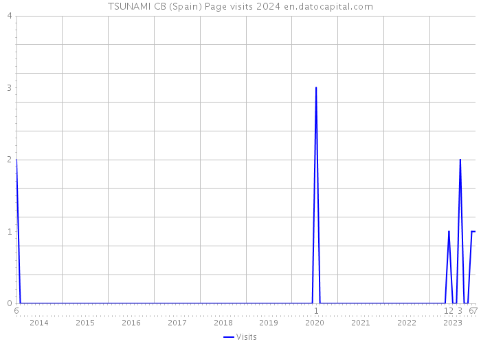 TSUNAMI CB (Spain) Page visits 2024 