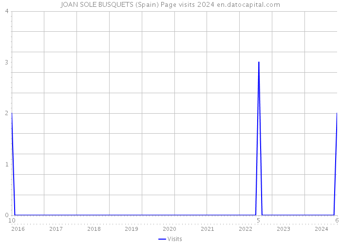 JOAN SOLE BUSQUETS (Spain) Page visits 2024 