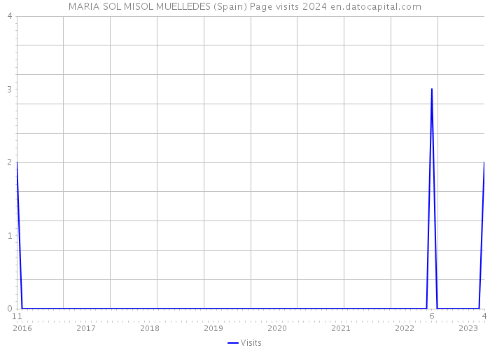 MARIA SOL MISOL MUELLEDES (Spain) Page visits 2024 