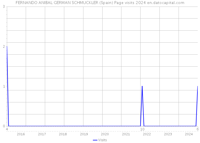 FERNANDO ANIBAL GERMAN SCHMUCKLER (Spain) Page visits 2024 