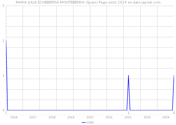 MARIA JULIA ECHEBERRIA MONTEBERRIA (Spain) Page visits 2024 