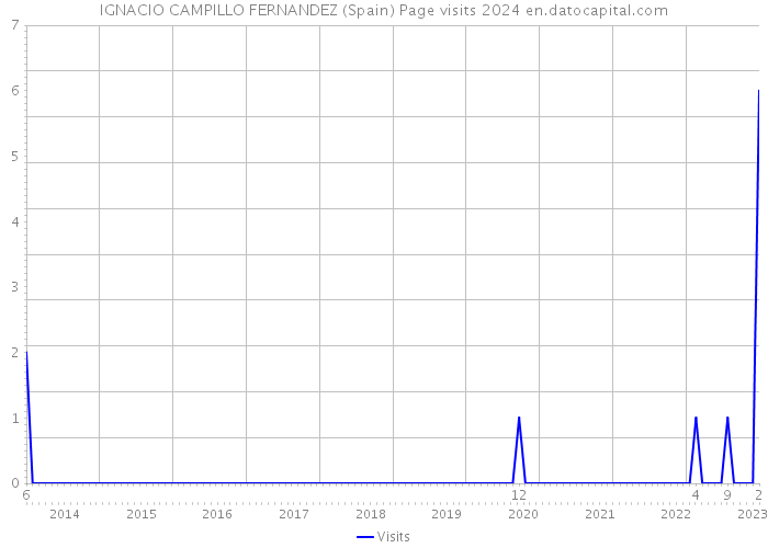 IGNACIO CAMPILLO FERNANDEZ (Spain) Page visits 2024 