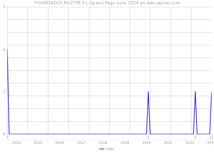 FOAMIZADOS PASTOR S L (Spain) Page visits 2024 