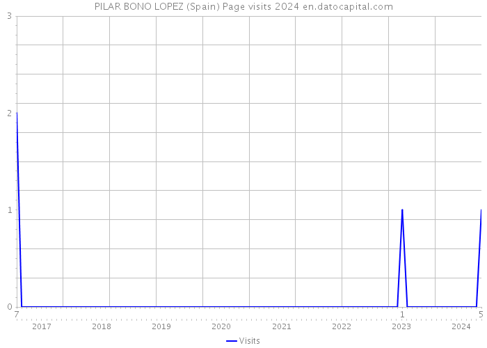 PILAR BONO LOPEZ (Spain) Page visits 2024 