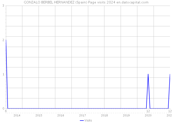 GONZALO BERBEL HERNANDEZ (Spain) Page visits 2024 