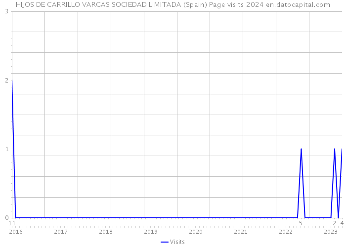 HIJOS DE CARRILLO VARGAS SOCIEDAD LIMITADA (Spain) Page visits 2024 