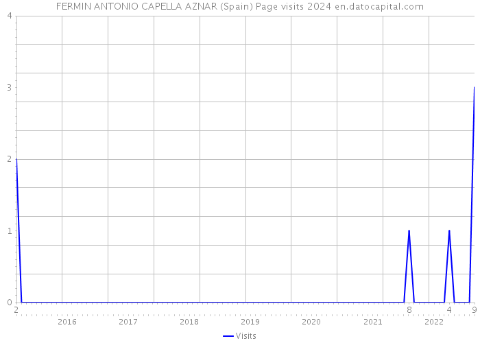 FERMIN ANTONIO CAPELLA AZNAR (Spain) Page visits 2024 