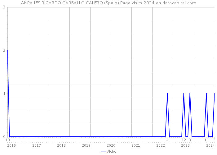 ANPA IES RICARDO CARBALLO CALERO (Spain) Page visits 2024 