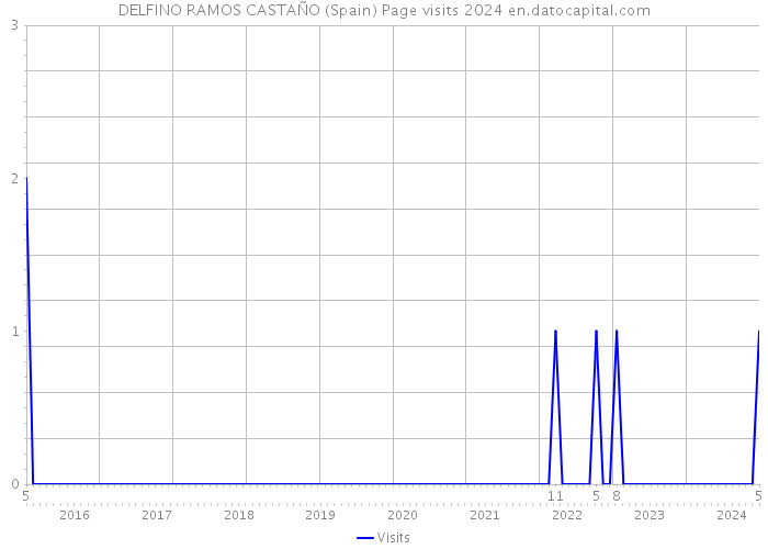 DELFINO RAMOS CASTAÑO (Spain) Page visits 2024 