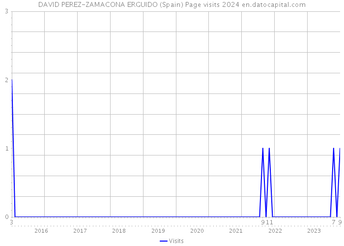 DAVID PEREZ-ZAMACONA ERGUIDO (Spain) Page visits 2024 