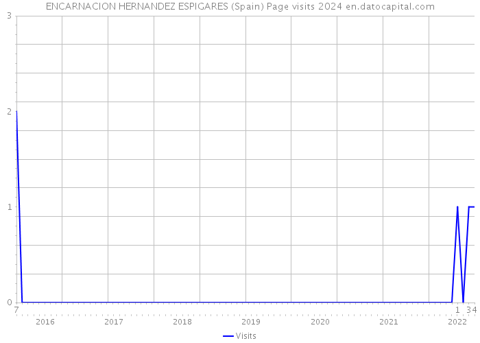 ENCARNACION HERNANDEZ ESPIGARES (Spain) Page visits 2024 