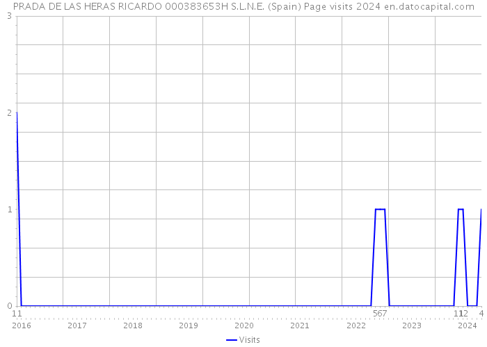 PRADA DE LAS HERAS RICARDO 000383653H S.L.N.E. (Spain) Page visits 2024 