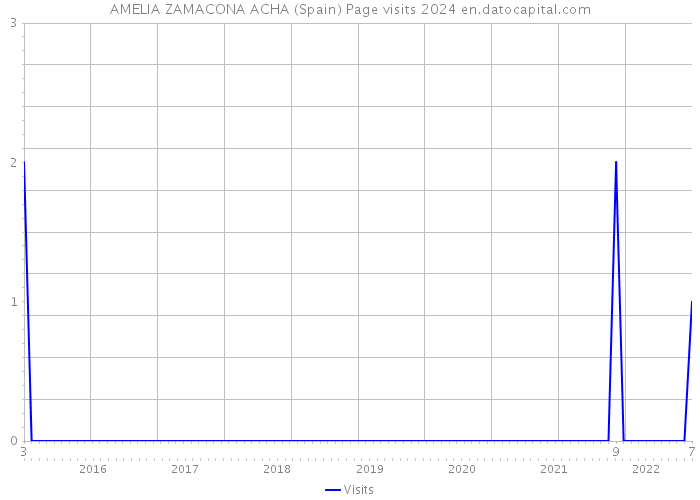 AMELIA ZAMACONA ACHA (Spain) Page visits 2024 