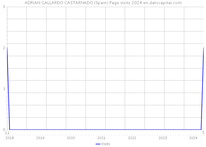 ADRIAN GALLARDO CASTARNADO (Spain) Page visits 2024 
